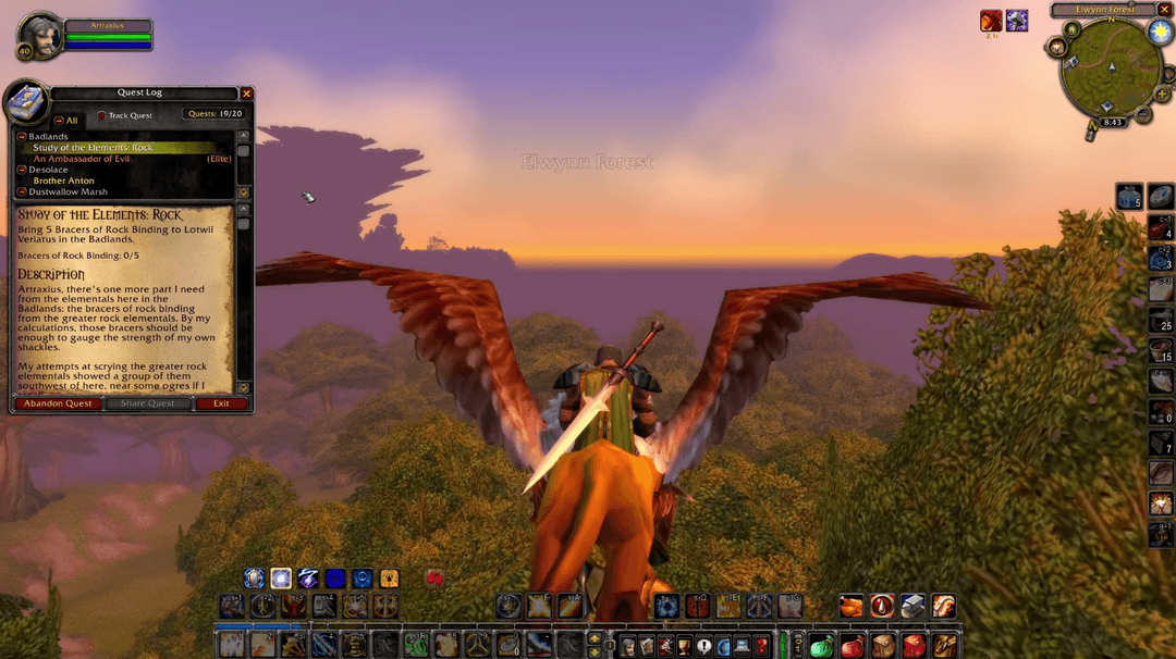 Player character on a long gryphon flight path.