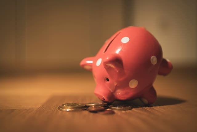 A close-up of a piggy bank sniffing a stack of coins
