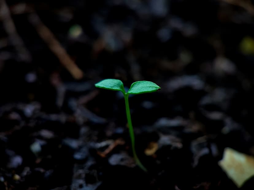 Tools for Habit Formation